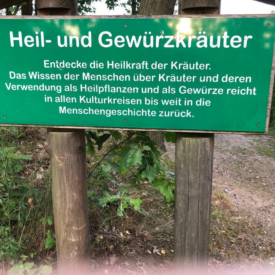 Apartmentanlage Am Kellerberg Zandt ภายนอก รูปภาพ